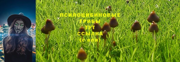 эйфоретик Бугульма