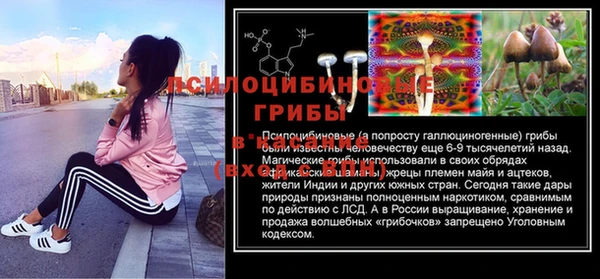ПСИЛОЦИБИНОВЫЕ ГРИБЫ Богородицк
