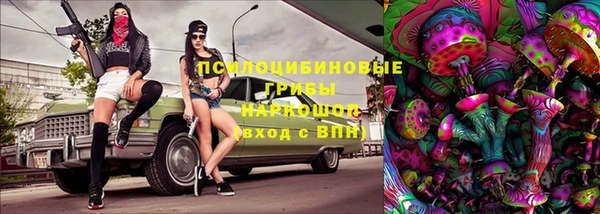 ПСИЛОЦИБИНОВЫЕ ГРИБЫ Богородицк