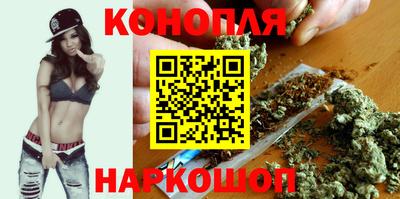 прущие крисы Бийск