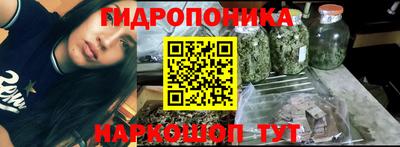 прущие крисы Бийск