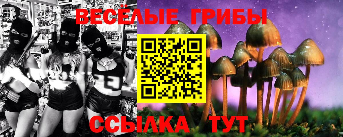 Галлюциногенные грибы GOLDEN TEACHER Видное